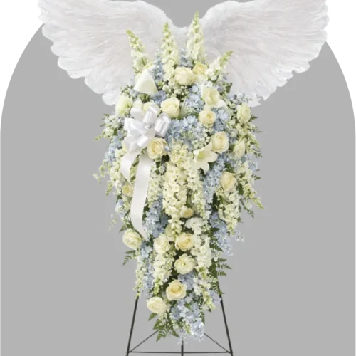 ANGEL’S EMBRACE